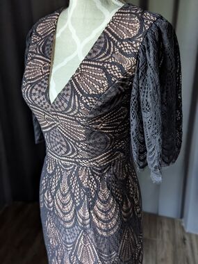 Dress the Population Blush Pink Lace Dress with Nude Lining